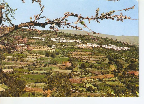 Postal 032173 : Berchules (Granada). Alpujarra. Famoso por sus frutos