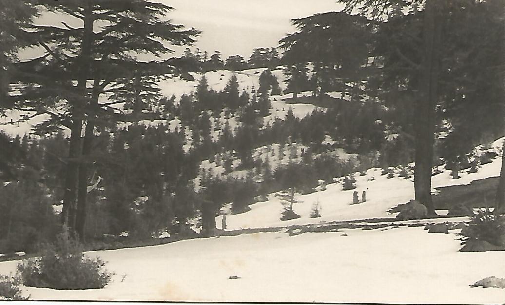 Postal 51233: Montaña