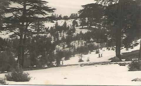 Postal 51233: Montaña