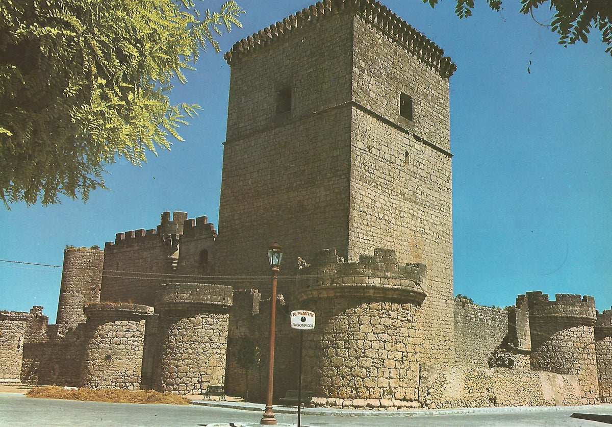 Lamina 0115: Castillo de Portillo (Valladolid)