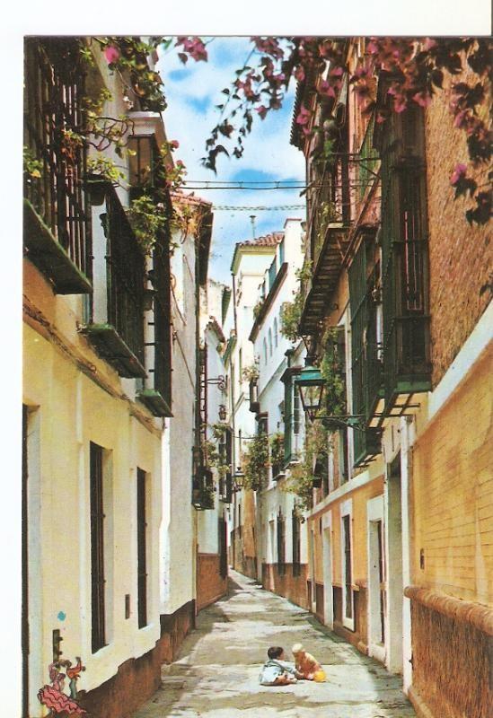 Postal 026531 : Barrio de Santa Cruz. Calle de la Pimienta. Sevilla