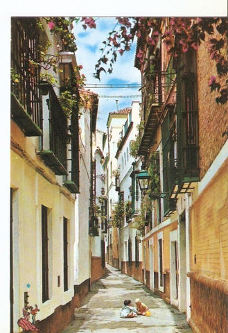 Postal 026531 : Barrio de Santa Cruz. Calle de la Pimienta. Sevilla