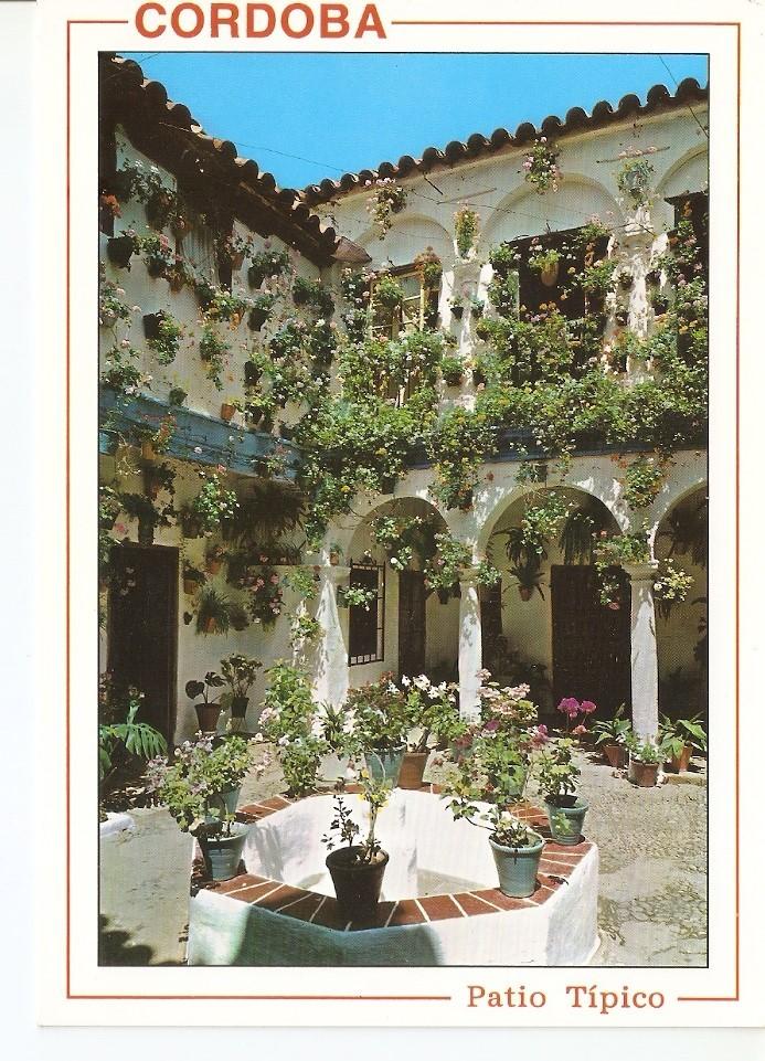 Postal 040239 : Cordoba. Patio tipico Andaluz