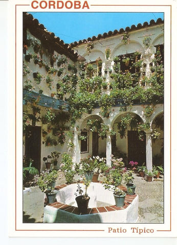 Postal 040239 : Cordoba. Patio tipico Andaluz