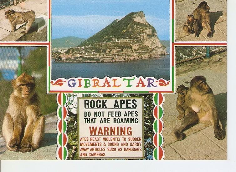 Postal 049931 : Gibraltar