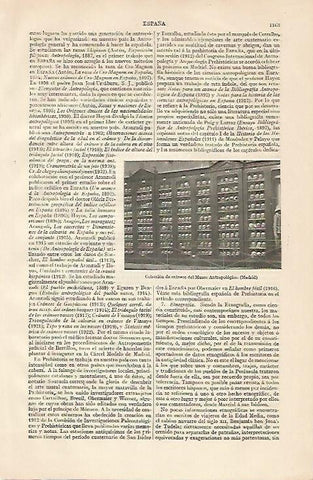 LAMINA ESPASA 10337: Coleccion de craneos del Museo Antropologico de Madrid