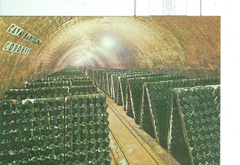 Postal 6569 : Cavas Codorniu, botellas en pupitre