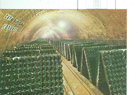 Postal 6569 : Cavas Codorniu, botellas en pupitre
