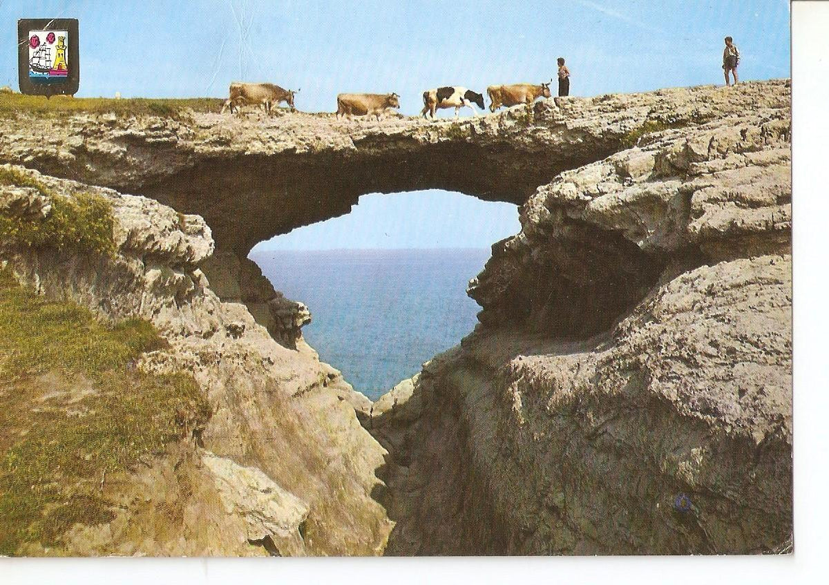 Postal 037880 : Santander. Puente del Diablo