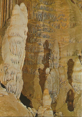 Postal 52073: CUEVA DE NERJA - El Borreguito