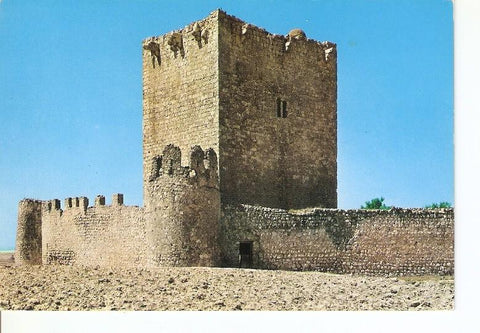 Postal 020115 : Castillos de España. De Tiedra (valladolid)