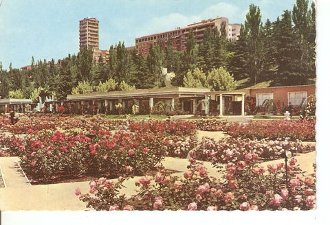 Postal 039513 : Madrid. Parque del Oeste Rosaleda