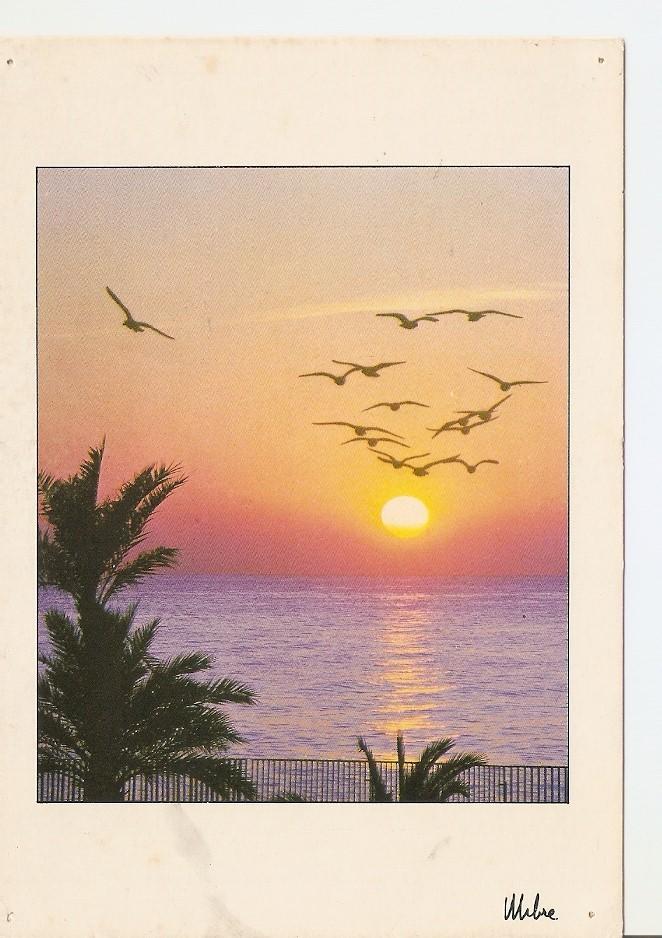 Postal 044036 : Amanecer