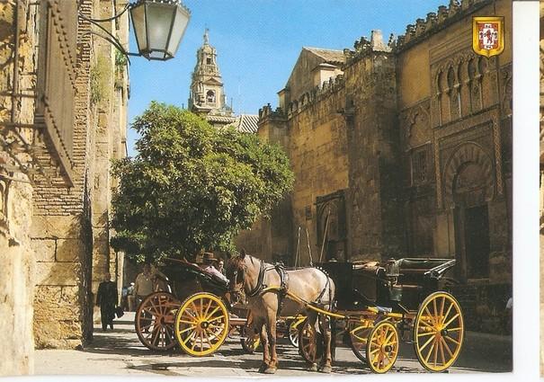 Postal 047530 : Cordoba. patrimonio de la Humanidad. Alcazar de los Reyes Cristianos. Estanque y jardines