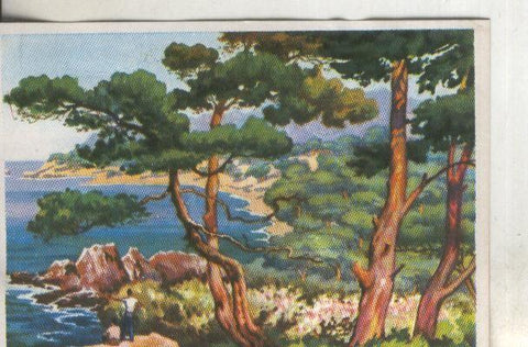 Cromos: Historia Natural numero 406