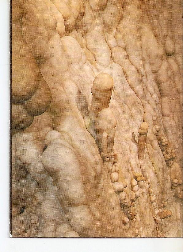Postal 038906 : La Gruta de las Maravillas. Sala de los Desnudos