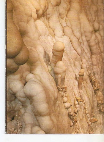 Postal 038906 : La Gruta de las Maravillas. Sala de los Desnudos