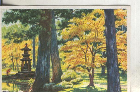 Cromos: Historia Natural numero 404