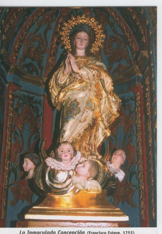 Postal 013659: Virgen La Inmaculada Concepcion