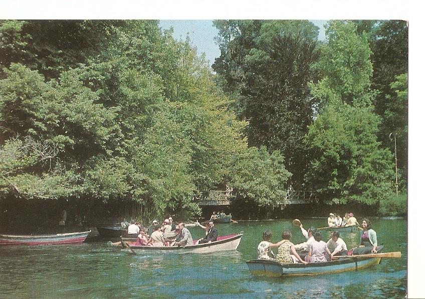 Postal 037023 : Bom Jesus - Braga. One detail of the Lake