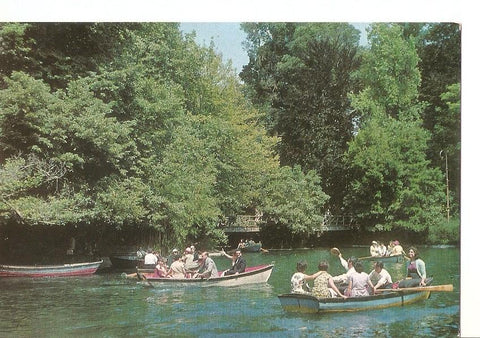 Postal 037023 : Bom Jesus - Braga. One detail of the Lake