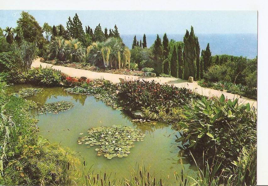 Postal 041735 : Blanes (Costa Brava). El Jardin Botanico con sus miles de especies exoticos