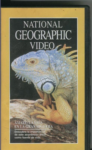 National Geographic Video 14