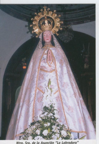 Postal 013675: Virgen Nuestra Señora de la Asuncion, La labradora