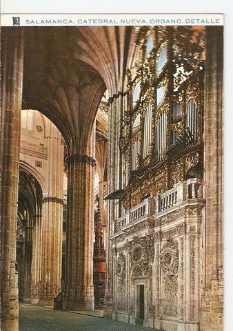 Postal 026038 : Catedral Nueva organo. Salamanca