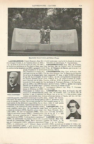 LAMINA ESPASA 8992: Monumento a Strauss en Viena