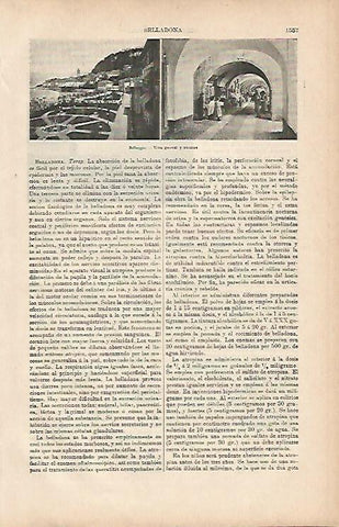 LAMINA ESPASA 9896: Vista general de Bellaggio Italia