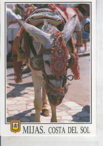 Postal 011206: Burro tipico de Mijas, malaga