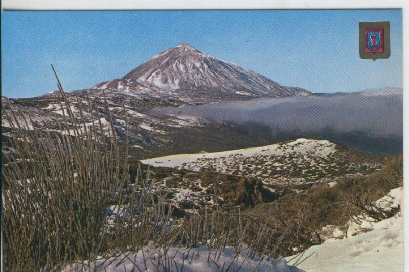 Postal 008129 :  El Teide, Tenerife
