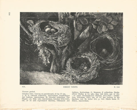 LAMINA 1243: VAN GOGH. Birds Nests