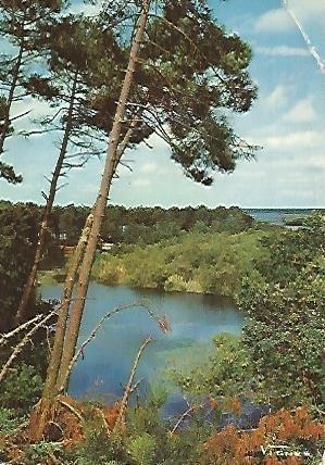 POSTAL 55808: MIMIZAN. Visage des Landes