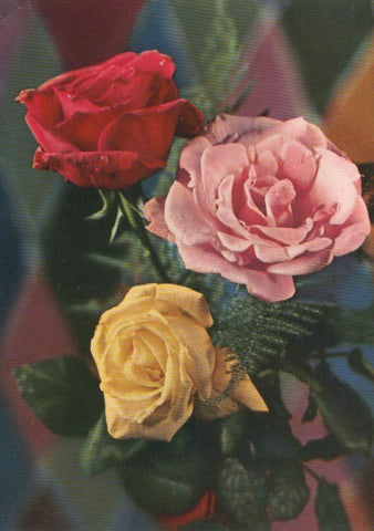 Postal 016150: Rosas