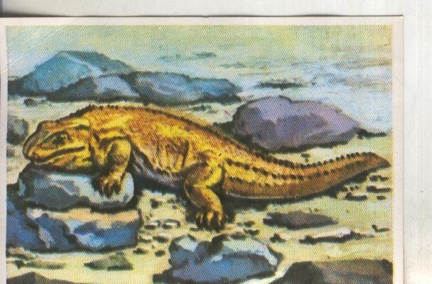 Cromos: Historia Natural numero 231