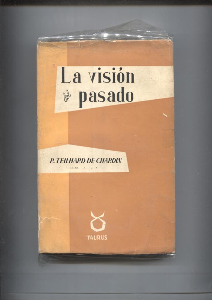 La vision del pasado