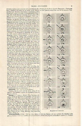 LAMINA ESPASA 16059: Esquemas de la facoeresis