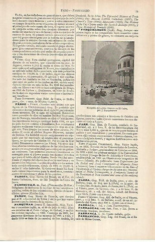 LAMINA ESPASA 16063: Mezquita del sultan Hussein en El Cairo