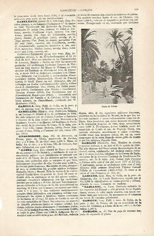 LAMINA ESPASA 16128: Oasis de Gabes Tunez