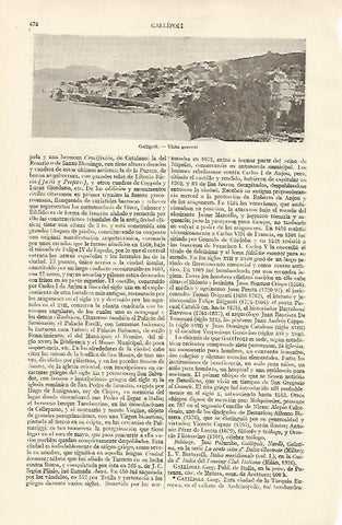 LAMINA ESPASA 16131: Vista general de  Gallipoli