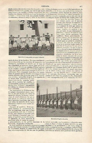 LAMINA ESPASA 16159: Gimnasia ejercicios de suspension