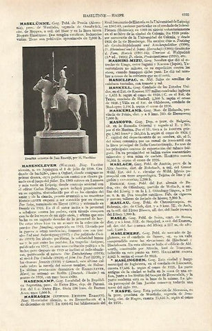 LAMINA ESPASA 16216: Estatua ecuestre por Haseltine