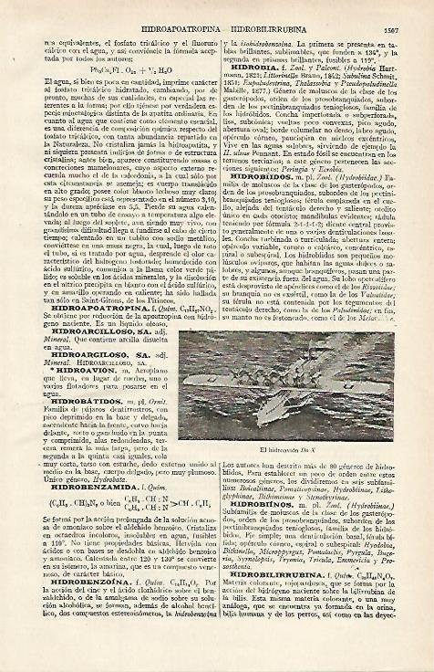 LAMINA ESPASA 16228: El hidroavion DoX