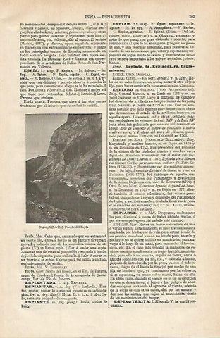 LAMINA ESPASA 16254: Puente del Espia en Organya Lerida