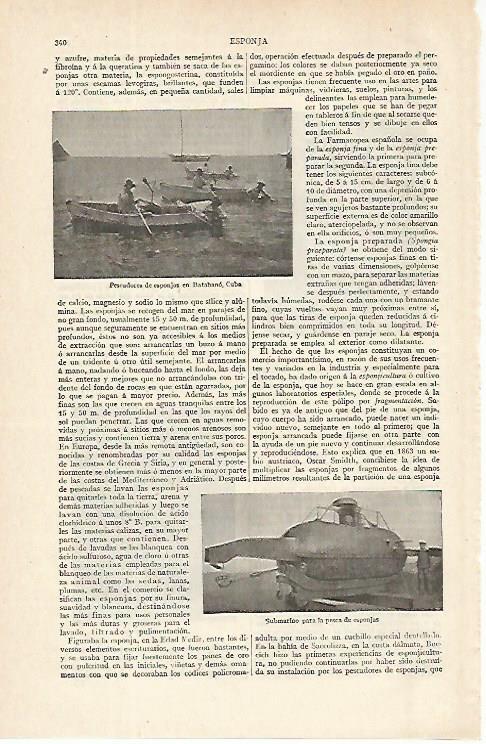 LAMINA ESPASA 16274: Pescadores de esponjas en Cuba