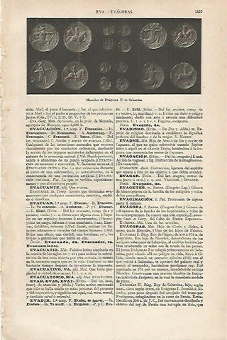 LAMINA ESPASA 16452: Monedas de Evagoras II de Salamina
