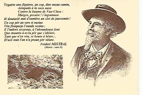 POSTAL 17876: Fontaine de Vaucluse