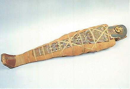 POSTAL 17880: Momia. Museo Champollion